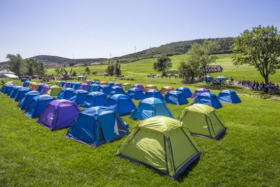 三寰牧场“盛夏光年·营地文化艺术季”开启夏日模式