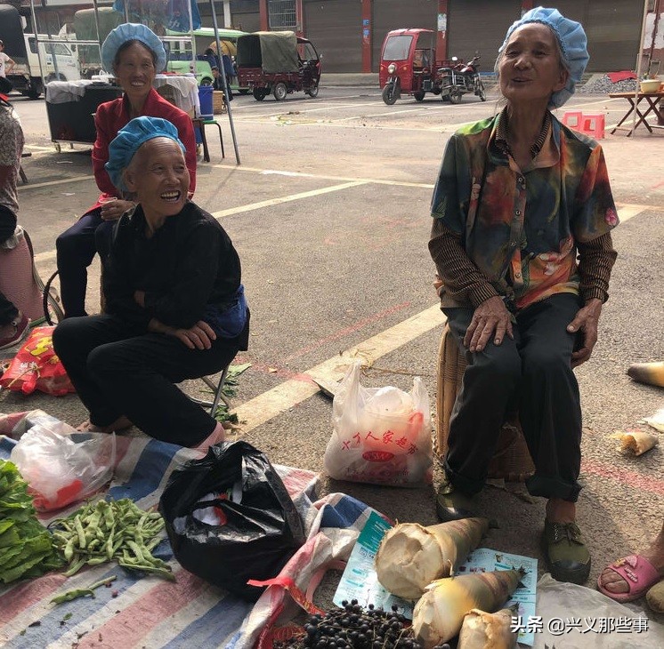 贵州仓更板栗基地地址,贵州板栗在哪里