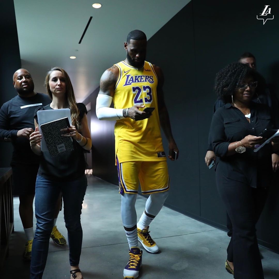 lebron詹姆斯狮子标球鞋,lebronwitness5詹姆斯实战篮球鞋