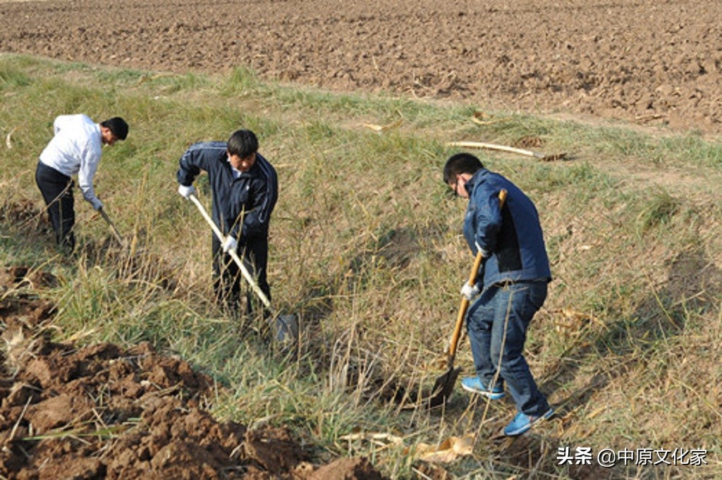 俗话说头无油脚无汗,头无脑油脚无汗有什么说法