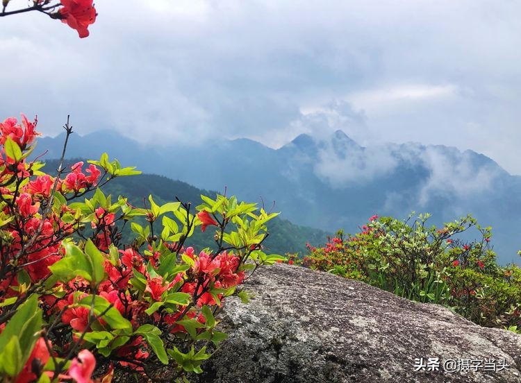 初夏游江西：历经晴、雨、雾，穿越武功山