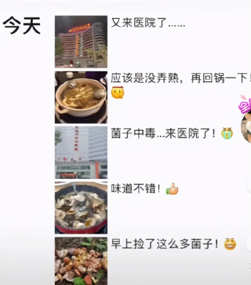 云南试毒大赛,又到了一年一度试毒的季节了