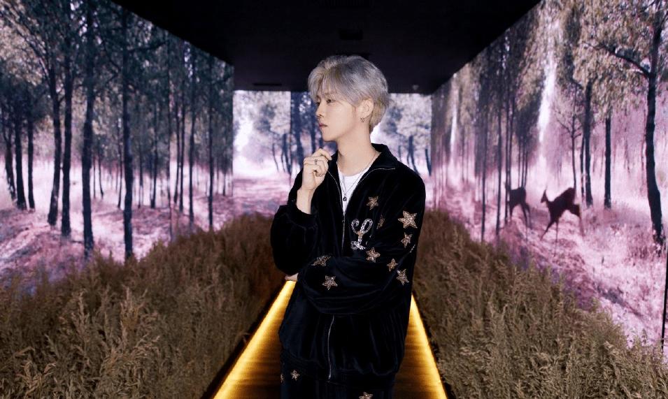 鹿晗捐赠足球场,鹿晗捐赠足球场在哪里