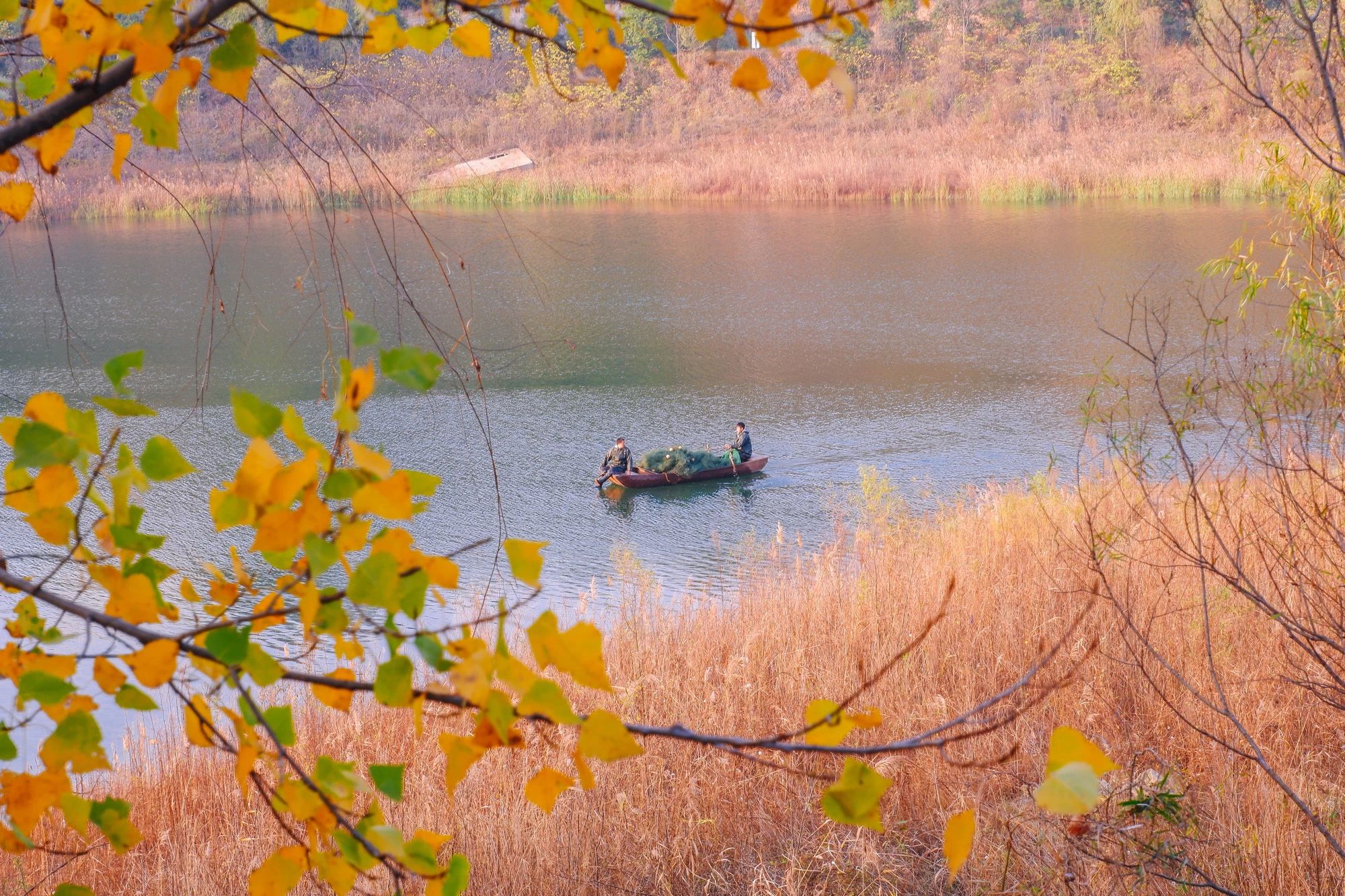 郑州漂亮的秋色风景,郑州的这些湖畔藏着最美的秋色