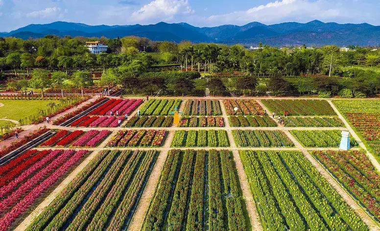 从化一日游最佳去处民宿,从化旅游线路攻略大全最新