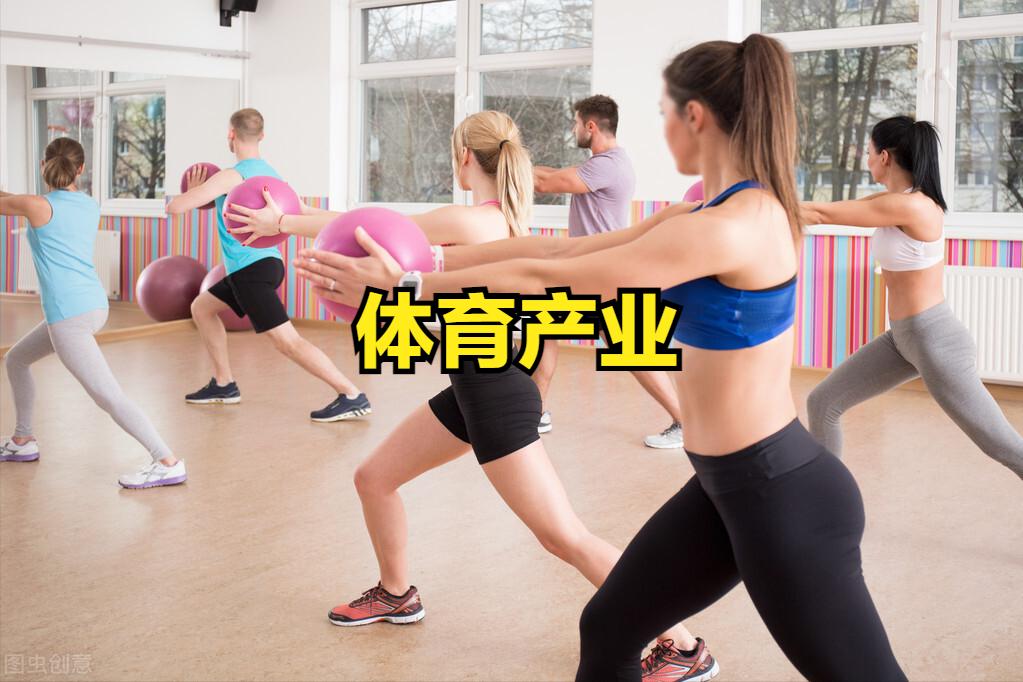 体育产业龙头股票有哪些,体育产业龙头股票代码