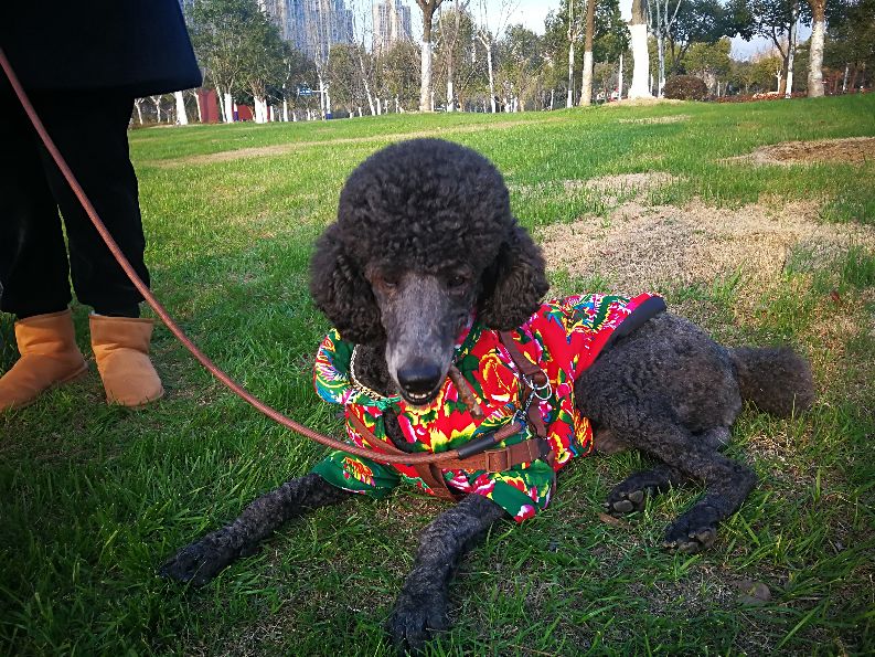 漫步河畔公园全景图,漫步公园美景