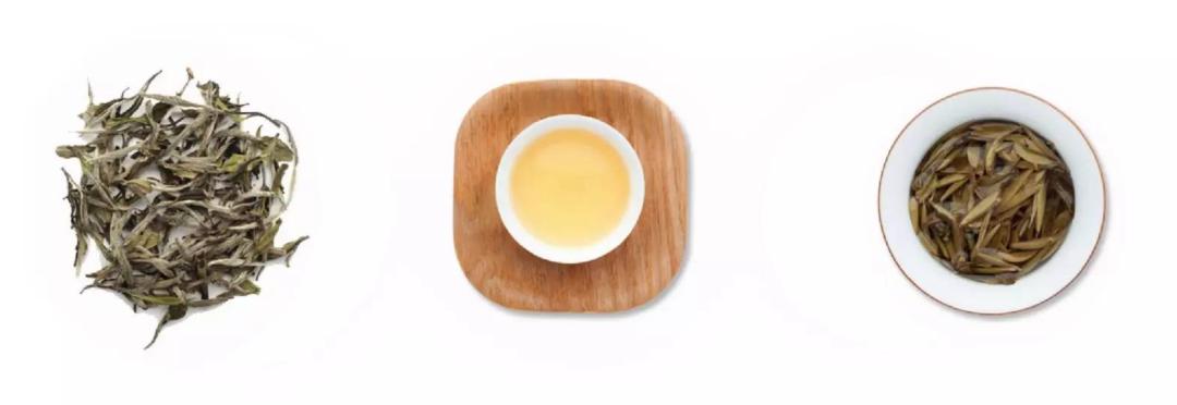 最神奇的树叶茶,中国神奇的叶子茶是什么茶