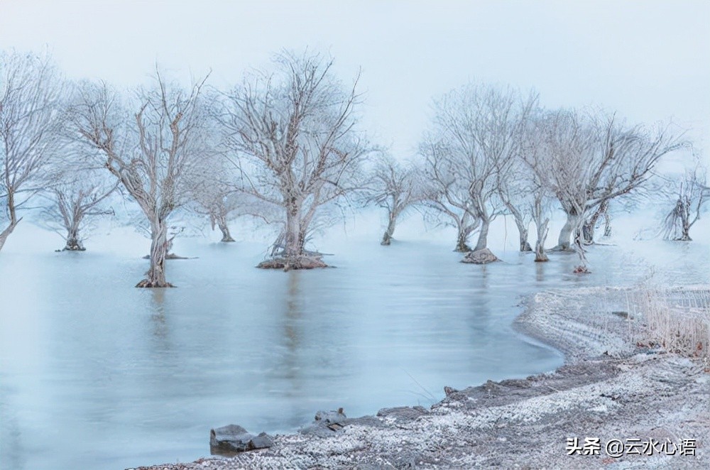 熊瑾玎的两首绝句，托物寓意，蕴含深远，堪为咏物诗中的佳作