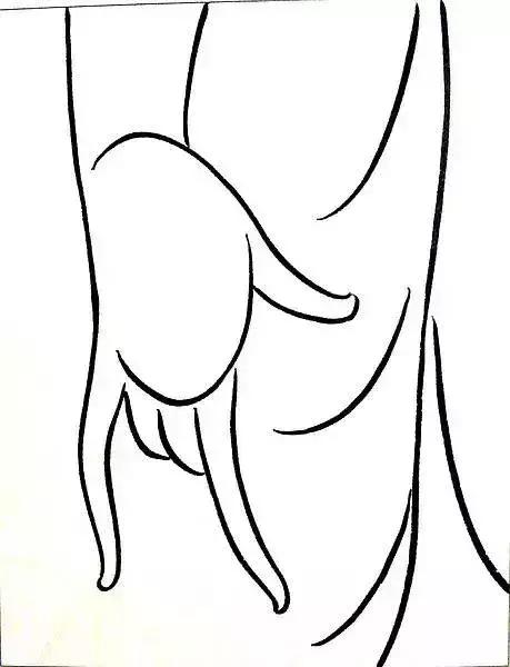 敦煌石刻美学,敦煌佛手印高清大图