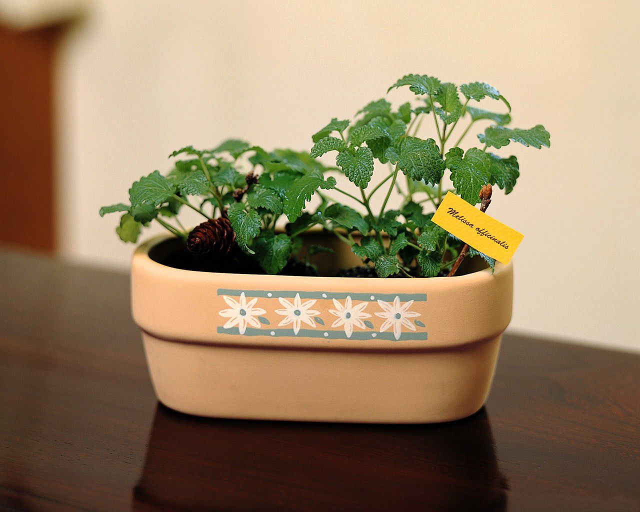 下半年容易脱单的星座,2019年有大出息的星座