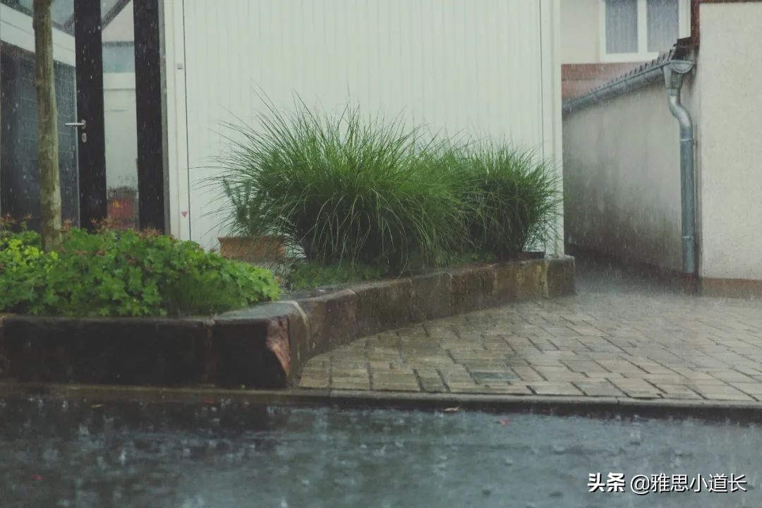 抵御大雨用英语怎么说,突降大雨用英语怎么说
