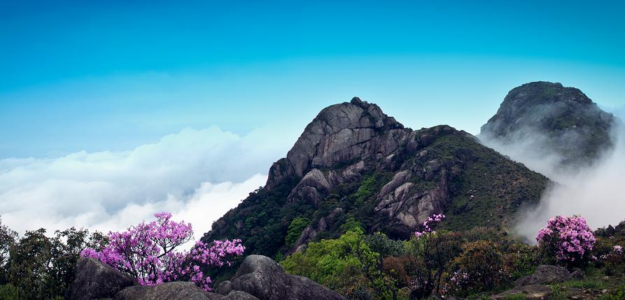 寻乌东江源头视频,红色美丽乡村