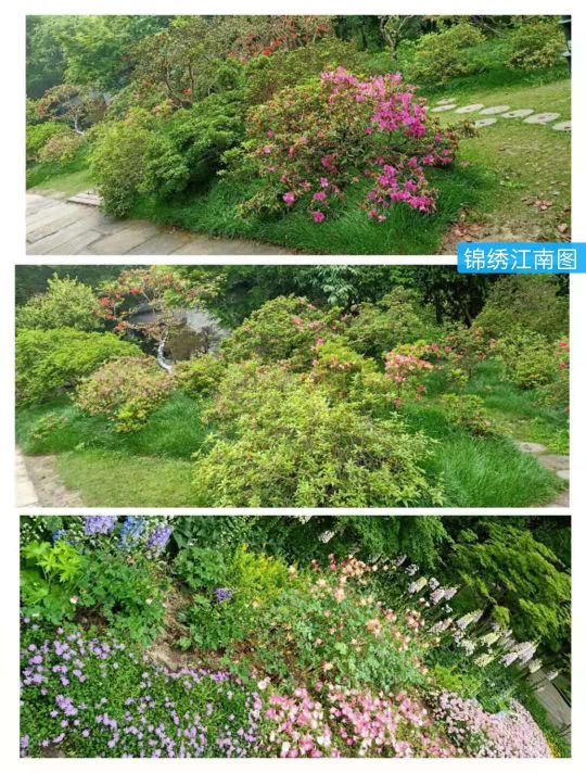 文化源远,三:水中寺庵？秋雪四面环水似孤岛蒋村二客夜走秋雪庵