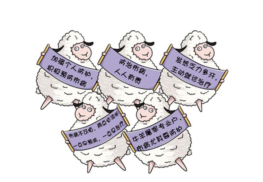 布鲁氏菌病如何预防,布鲁氏菌会导致身体抵抗力下降吗