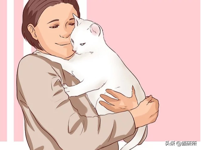 养了十多天的猫猫想抱它要怎么做,养了两年的猫怎么教