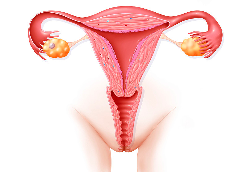 常见妇科疾病导致的危害,妇科炎症有什么危险