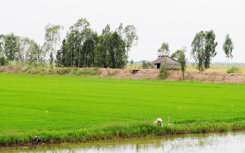 警察是如何调取支付宝交易记录的,律师调取支付宝实名信息如何查询