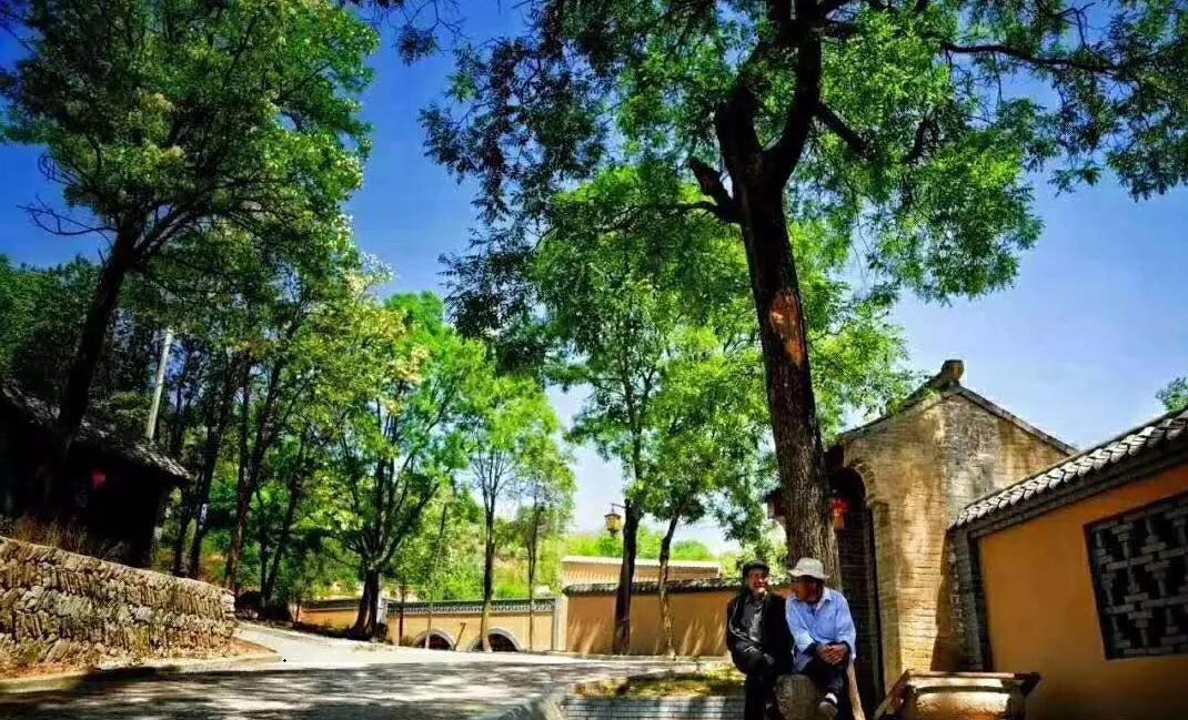 【开局“十四五”迈好第一步】回首2020，“数”说洛川成绩～