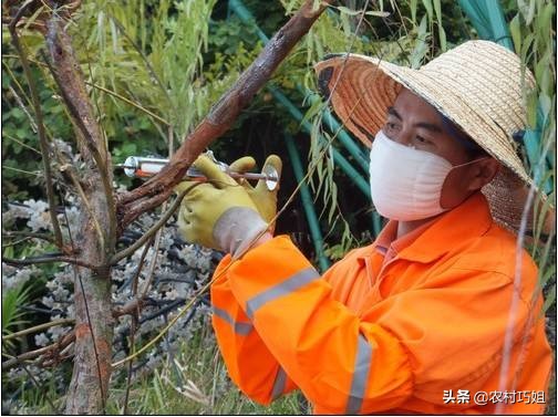 果树打针的危害,果树打针管和配件