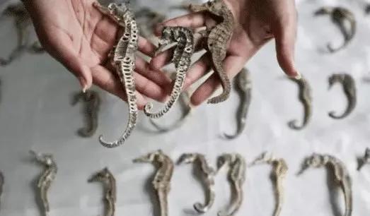 只为一串佛珠,他活剥了我妈的皮:人心有多可怕,你根本想象不到