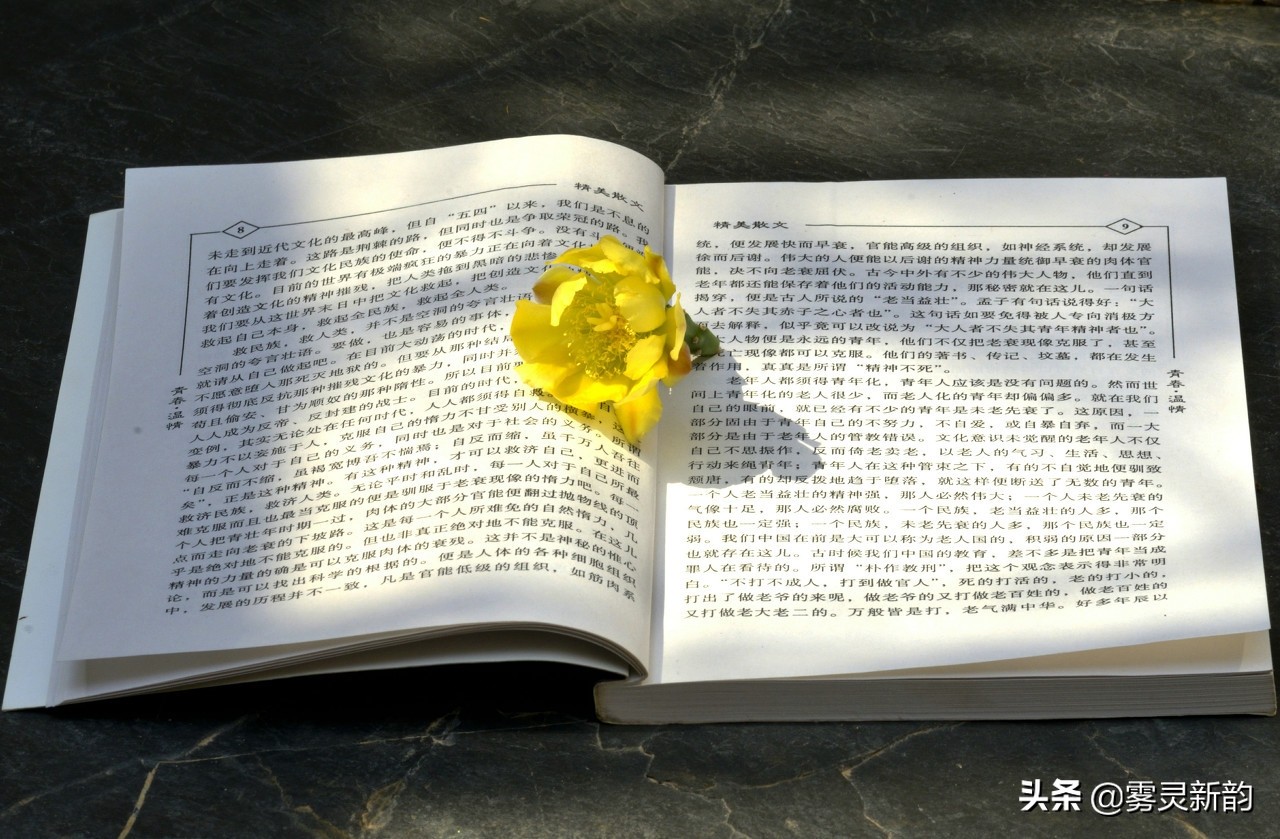 旧书的收藏价值在哪里,旧书收藏讲究品相