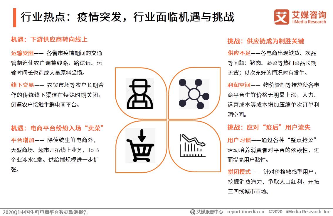 中国生鲜电商洞察报告,生鲜电商平台分析报告