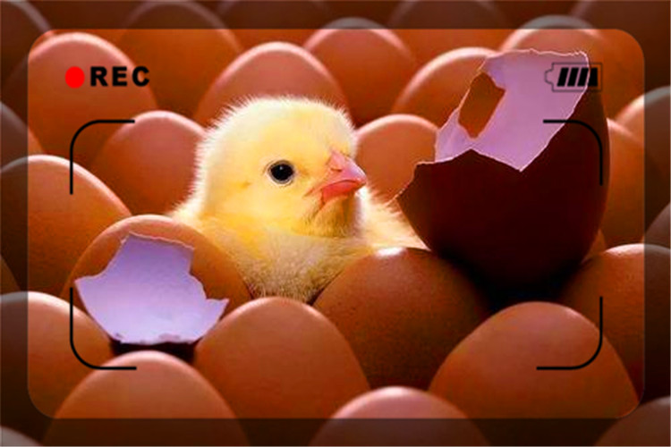 40岁了还没钱创业怎么办,45岁失业又没钱如何创业