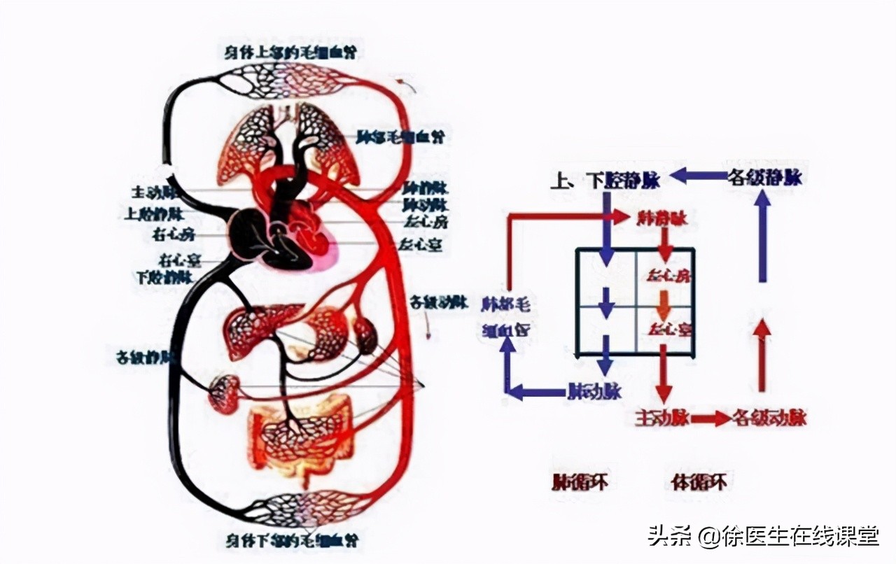 肛门边有个肉球不痛不痒怎么治疗,肛门外有个肉球不痛不痒怎么治疗