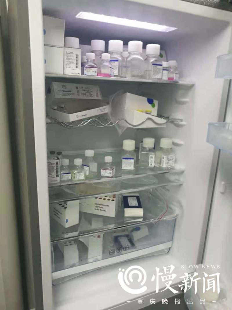 五旬大妈重金求子完整版,五旬大妈重金求子