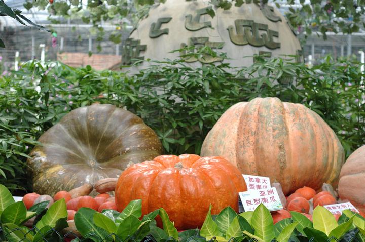 珠海周边游玩景点推荐,珠海免费自驾游必去12个景点