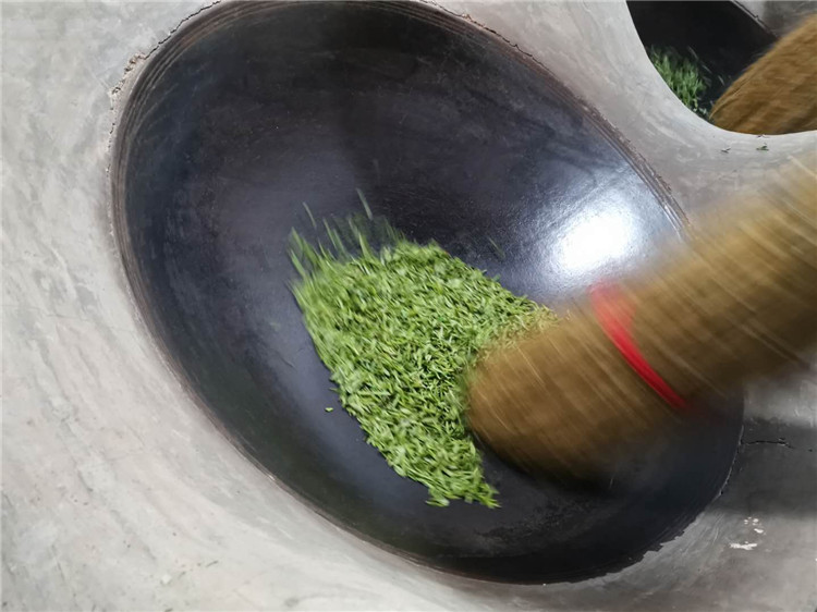 信阳毛尖深度好文——一个资深茶客谈论信阳毛尖内幕