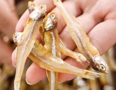 如何挑选新鲜的白眉鱼干,怎么挑选巴浪鱼干