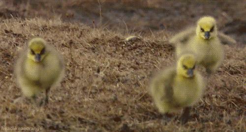 南京被历代皇帝青睐,南京王气