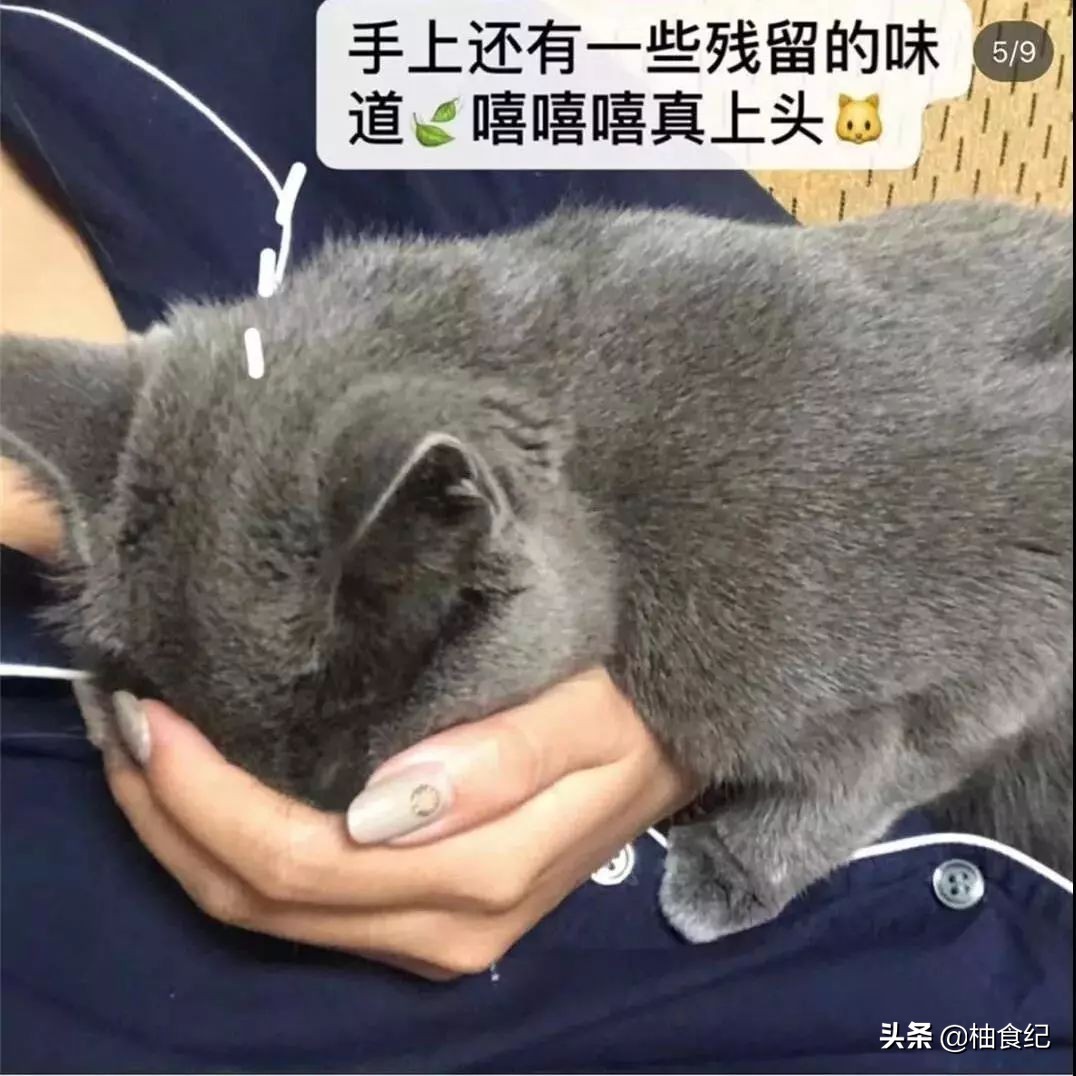 美白护手霜推荐第一名测评,高级精致护手霜有哪些品牌