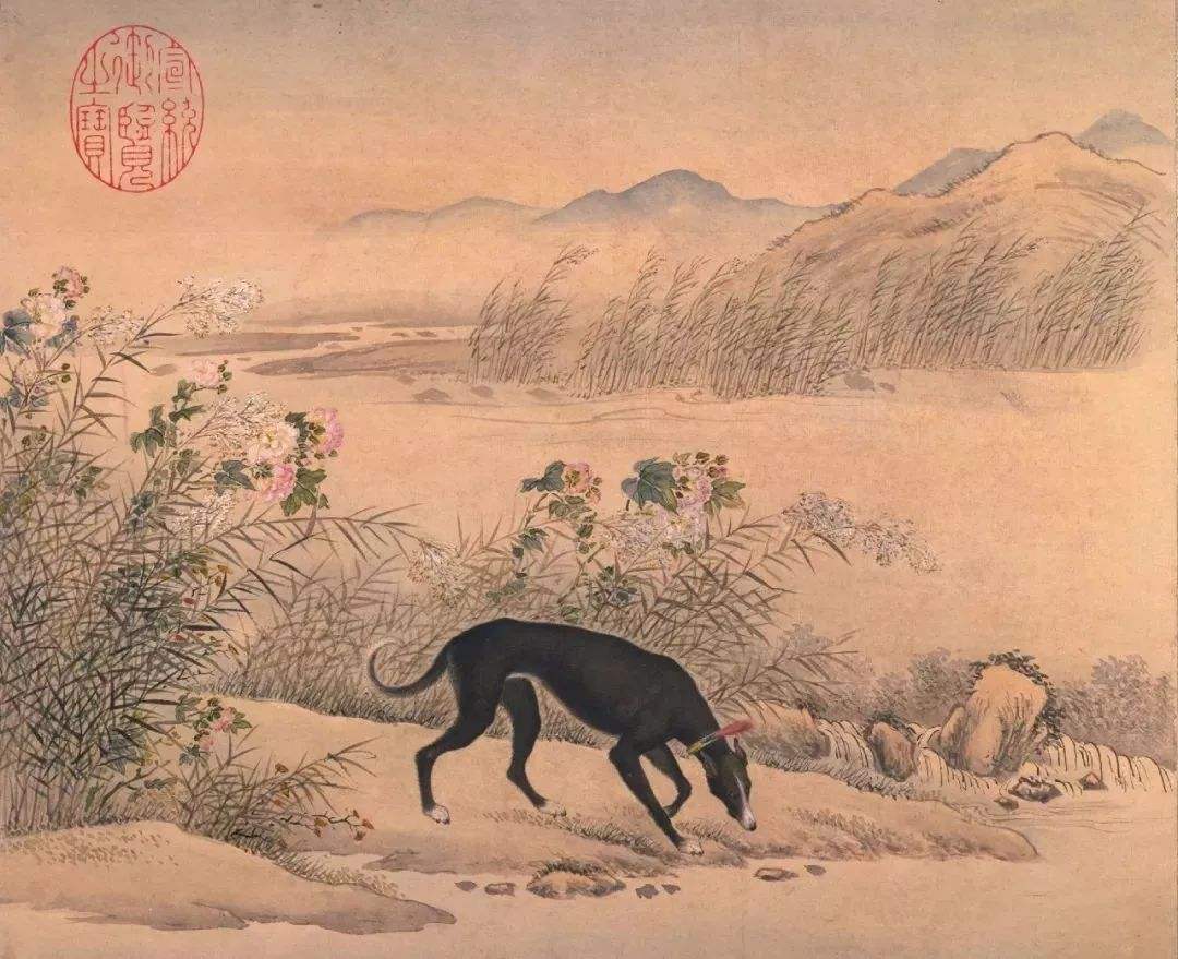 中国十骏犬图集,清朝十骏犬图都是啥品种