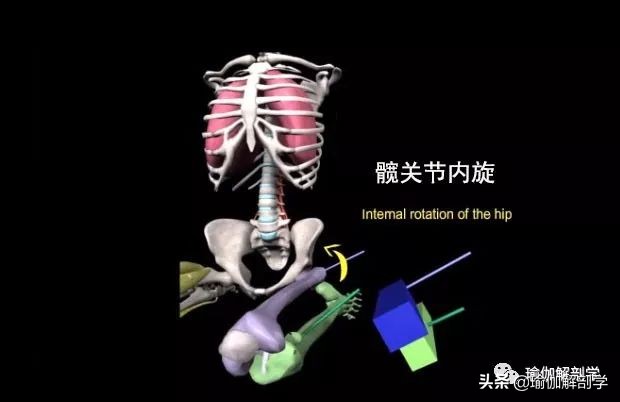 腰疼仰卧时更疼怎么回事,瑜伽体式英雄卧为什么腰会痛