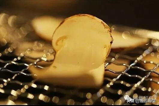 鲜松茸煲鸡汤的做法,鲜松茸的最佳保存方法