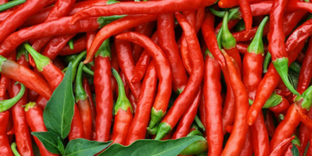 犹太人卖豆子的思维,犹太人卖烧饼思维