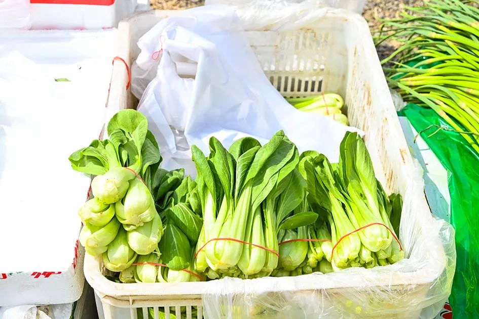 北京京郊大集地理位置,今天京郊哪有大集