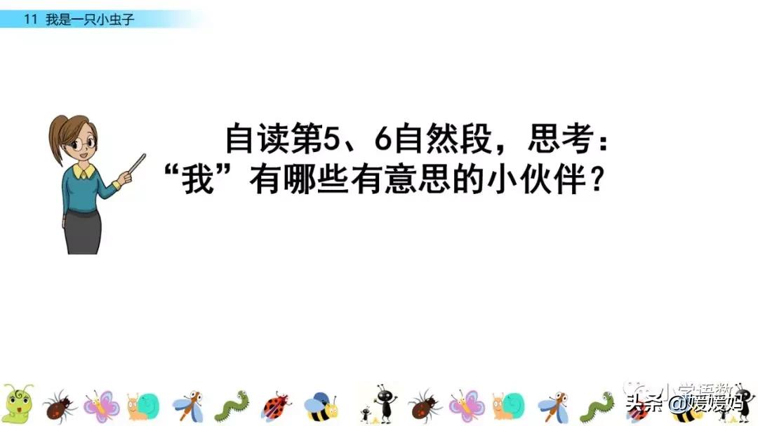 二年级下册我是一只小虫子课后题,二年级下册语文11我是一只小虫子