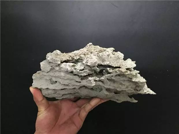 制作更加自然的附石盆景该怎么办,如何制作附石盆景图解