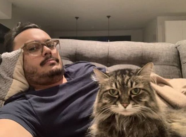 猫咪和主人的温馨时刻,和猫咪快乐的瞬间