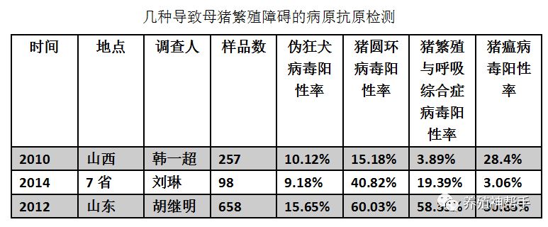母猪妊娠阶段常见疾病,母猪感染最佳治疗方法