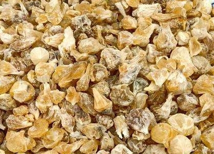 薤白怎么搭配可以通阳散结,瓜蒌薤白半夏汤通阳散结