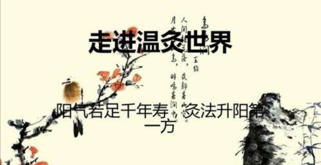 血栓的危害及预防,血栓的危害和预防资料