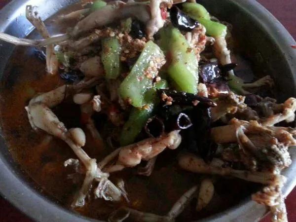 煮熟的青蛙,煮熟的青蛙视频