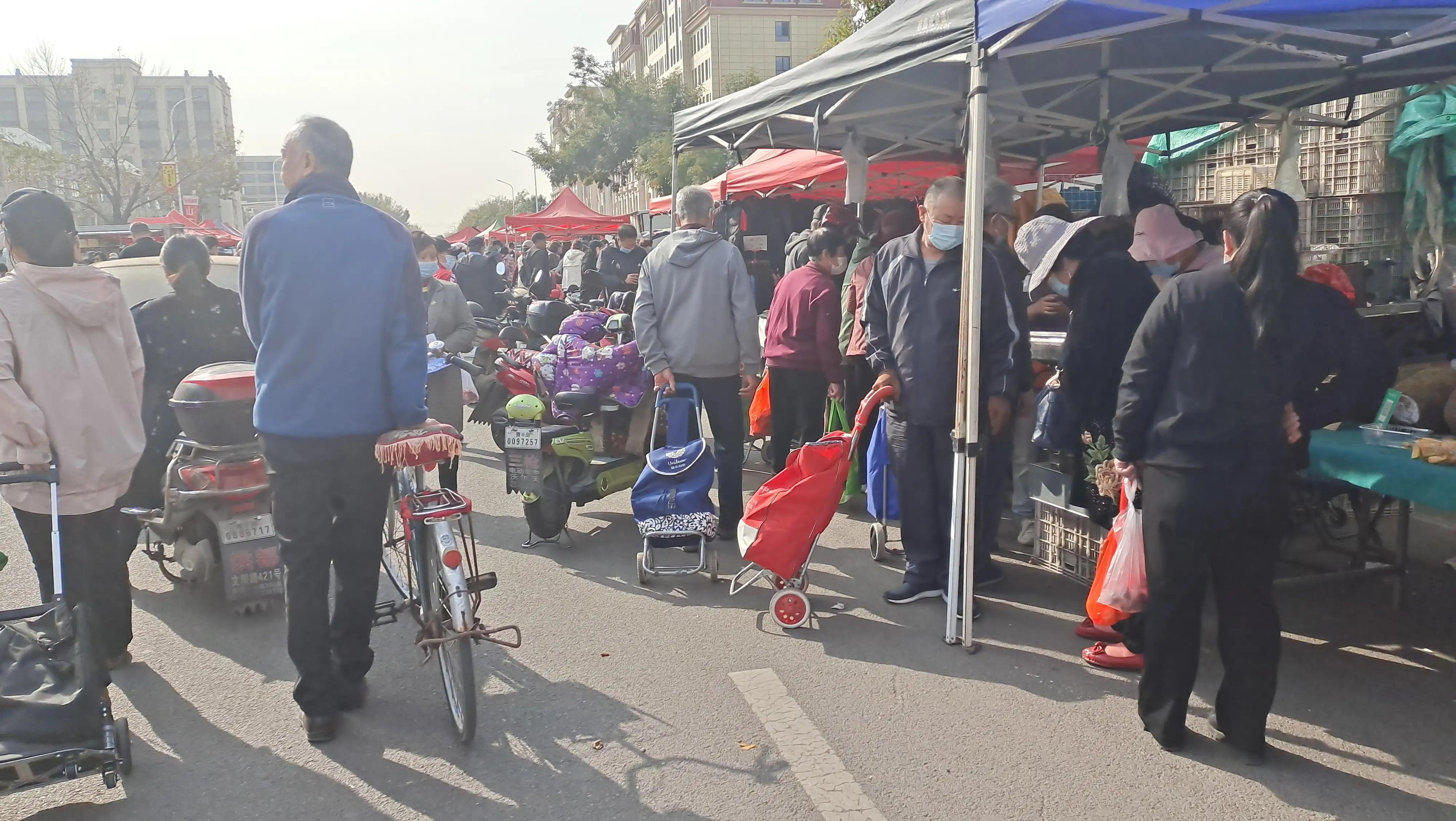 青岛城阳每日菜价查询官网,城阳惜福镇青松生态园菜价