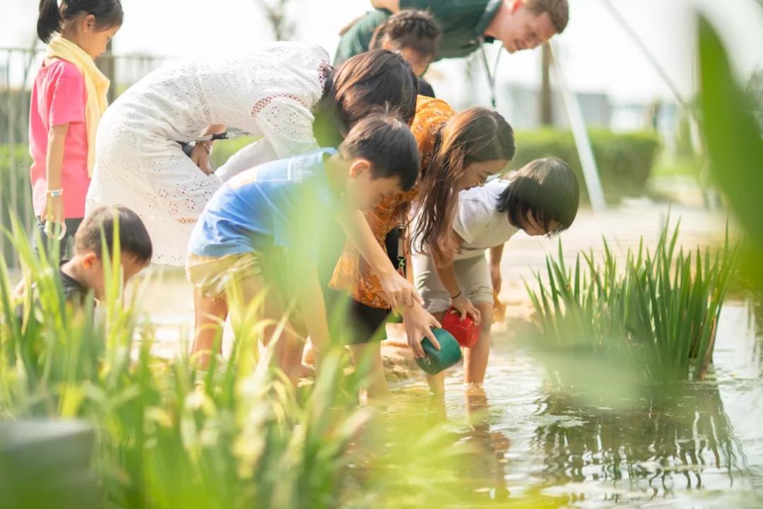 豪掷16亿!荟同学校中国第二校区再造“先锋派”