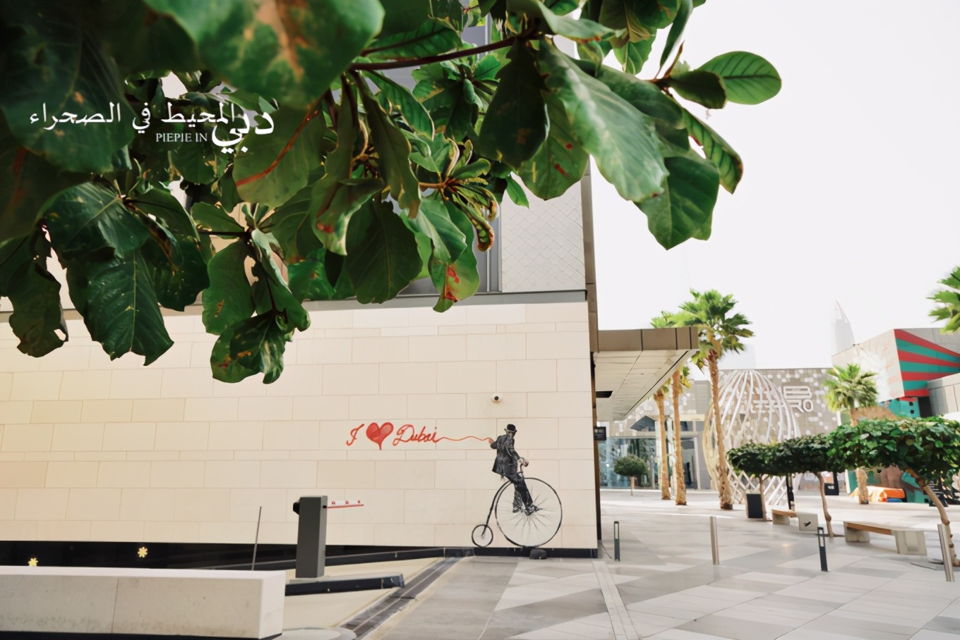 土豪之旅迪拜,迪拜土豪之旅